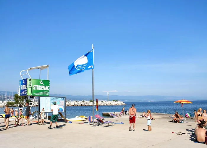 Apartment With A Parking Space Icici, Opatija - 11154